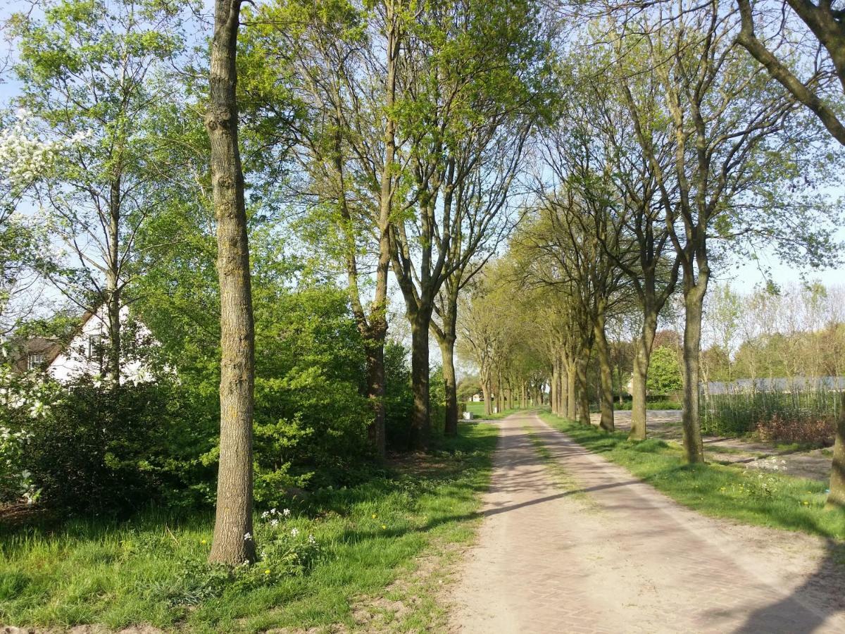 Guesthouse Rijsbergen_Zundert Eksteriør bilde